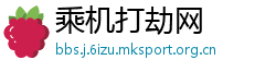 乘机打劫网